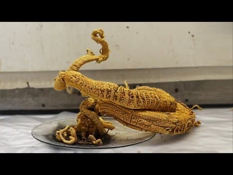 Making the Pharaoh's Serpent thumbnail