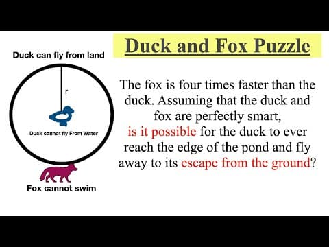 The Duck and Fox Puzzle || duck and fox Riddle || Smart Interview Puzzle thumbnail