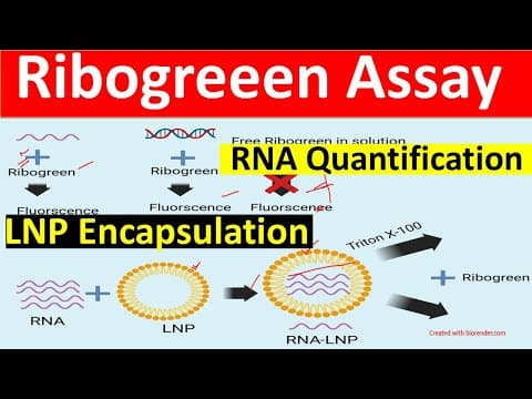 Ribogreen Assay- RNA quantification | Ribogreen Assay Encapsulation (for beginners) | thumbnail
