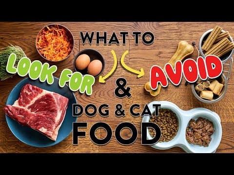 Dr. Judy's Pet Food Criteria | FAQ's What & Why thumbnail