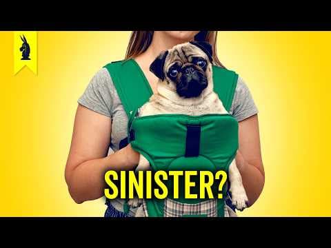 Why Are Pets So Important in Today's Society? thumbnail