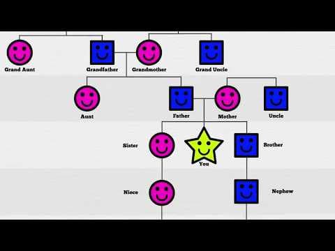 Your Family Tree Explained thumbnail