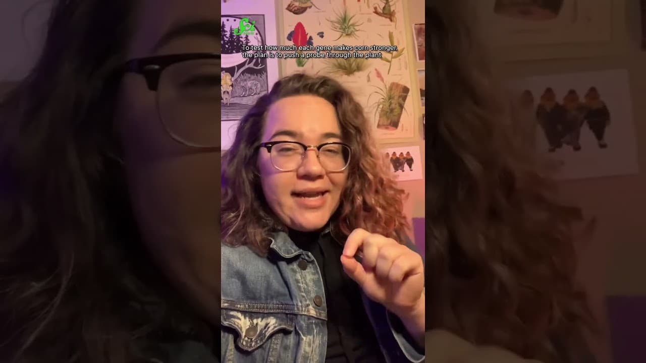 YouTube video player