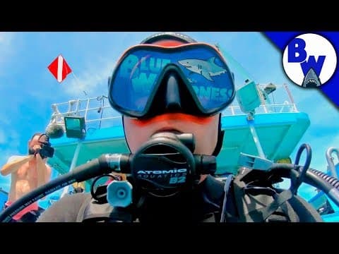 How Does Mario Aldecoa Get Dive-Certified? thumbnail