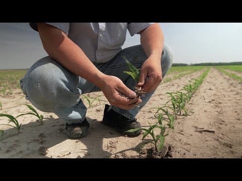 A better way to fertilize thumbnail