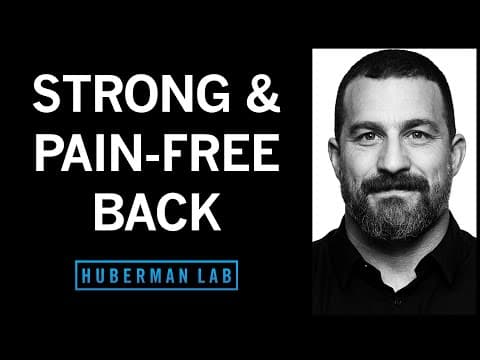 Protocols to Strengthen & Pain Proof Your Back thumbnail