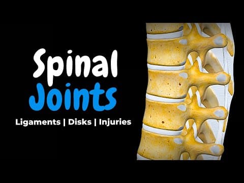 Vertebral Joints, Ligaments & Intervertebral Discs | Clinical Anatomy thumbnail