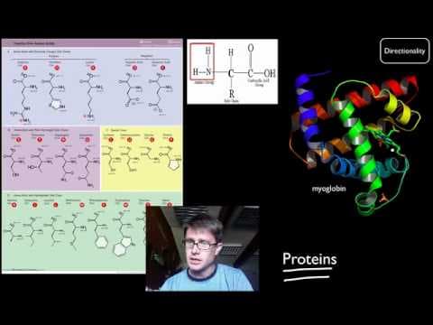 Biological Molecules thumbnail