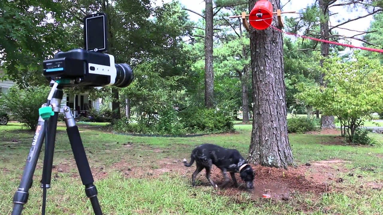 YouTube video player
