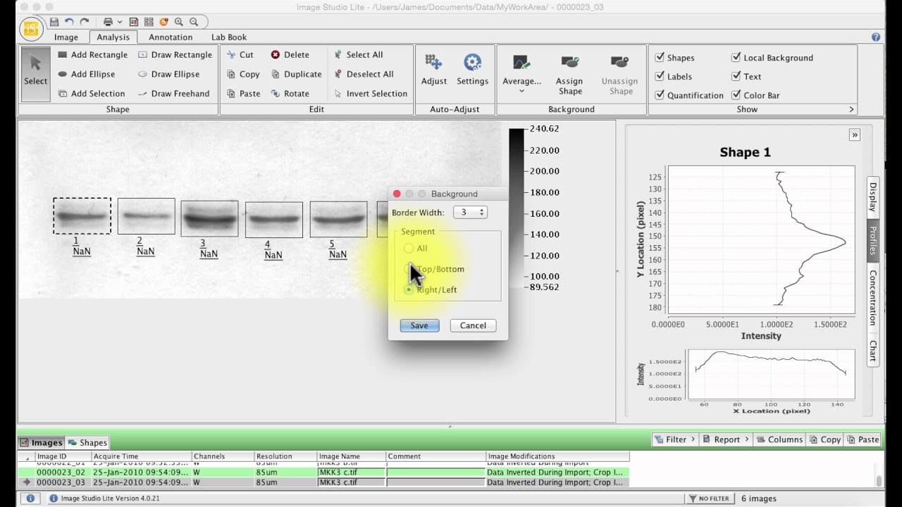 YouTube video player