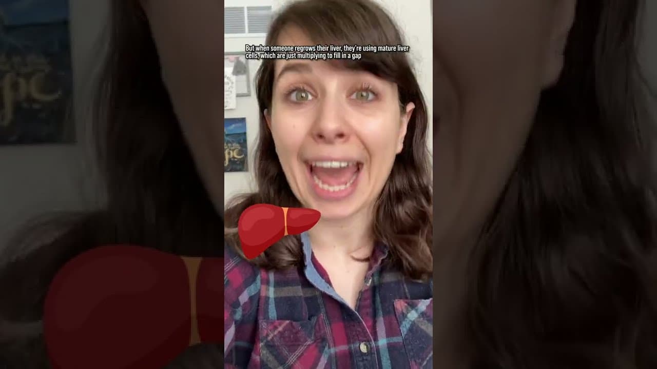 YouTube video player