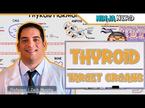 Endocrinology: How Do Thyroid Hormones Affect Target Organs? thumbnail