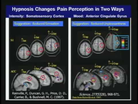 Mind-Body Interactions thumbnail
