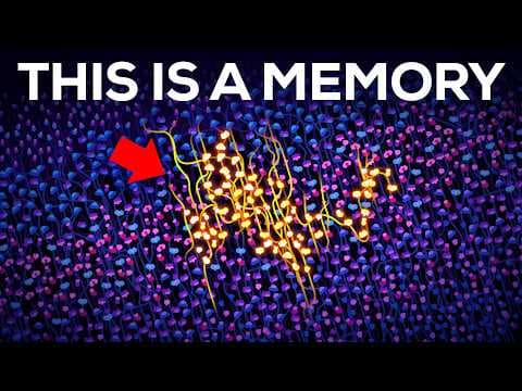 How Does the Brain Store and Rewrite Memories? thumbnail