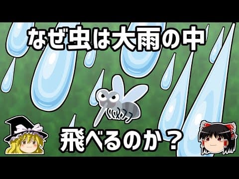 【ゆっくり解説】虫はなぜ雨に叩き落されないのか？ thumbnail