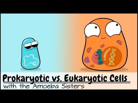 Prokaryotic vs. Eukaryotic Cells (Updated) thumbnail