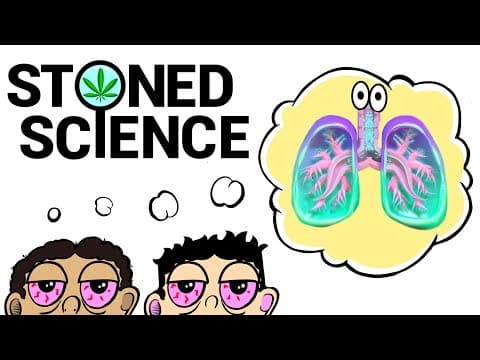 Two Stoned Comedians Explain the Respiratory System | STONED SCIENCE thumbnail