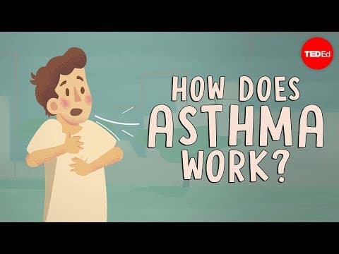 How does asthma work? - Christopher E. Gaw thumbnail