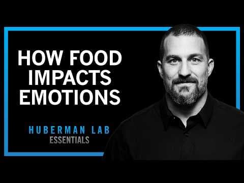 How Foods & Nutrients Control Our Moods | Huberman Lab Essentials thumbnail
