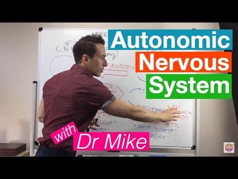 Autonomic Nervous System thumbnail