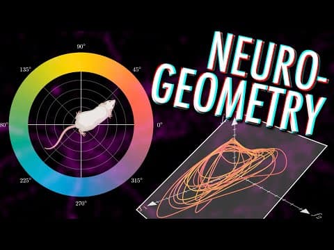 Neural manifolds - The Geometry of Behaviour thumbnail