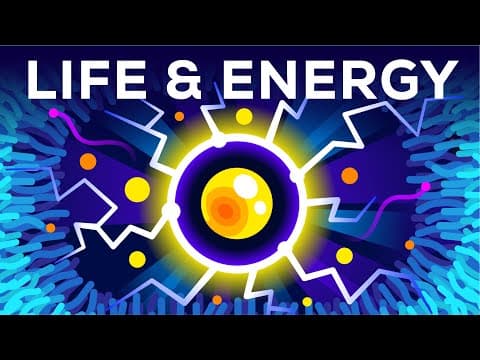 Why Do We Live and How Does ATP Keep Us Alive? thumbnail
