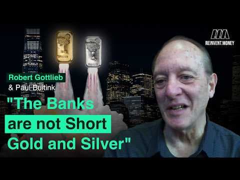 Ex-Bullion Banker Robert Gottlieb on Gold and Silver Rally, Manipulation and more thumbnail