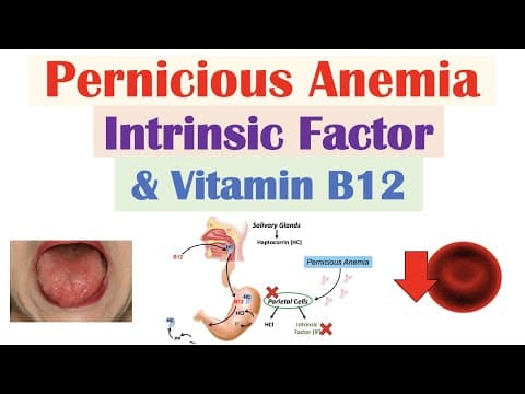 Pernicious Anemia (Rare Cause of Vitamin B12 Deficiency) | Causes, Symptoms, Diagnosis, Treatment thumbnail
