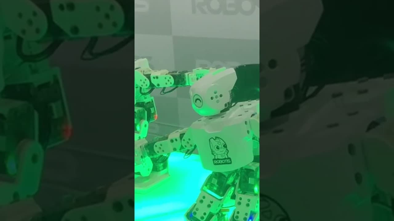 YouTube video player