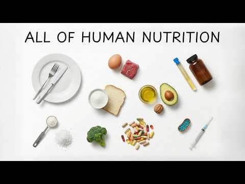 ALL OF NUTRITION SCIENCE in 13 Minutes (No BS) thumbnail