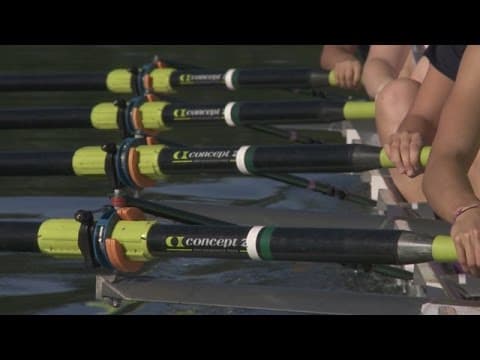 CityStream: Seattle Rows thumbnail
