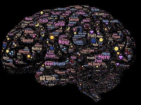What Happens in a Philosopher's Brain? | Philosophy Tube thumbnail