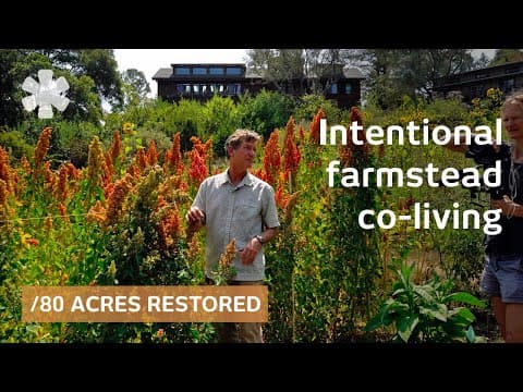 7 friends built restoration ecovillage. Outcome 50 years on thumbnail