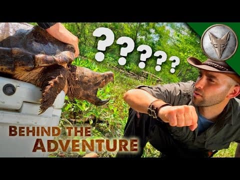 What Happens When a Snapping Turtle Bites You? thumbnail