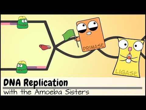 DNA Replication (Updated) thumbnail