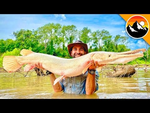 How Are Researchers Working to Save the Alligator Gar? thumbnail