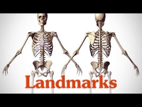 Landmarks of the Human Body thumbnail