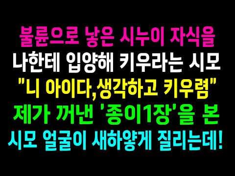 시어머니가 아기 입양을 강요할 때 며느리가 선택한 대응은 무엇인가? thumbnail