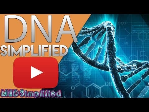 DNA- Structure and function of Deoxyribonucleic Acid (DNA) thumbnail
