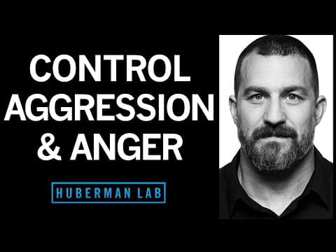 Understanding & Controlling Aggression | Huberman Lab Podcast #71 thumbnail