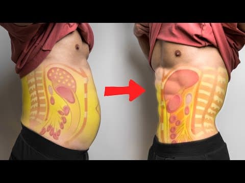 【减小腰围!】如何3步减掉内脏脂肪(含详细攻略) thumbnail