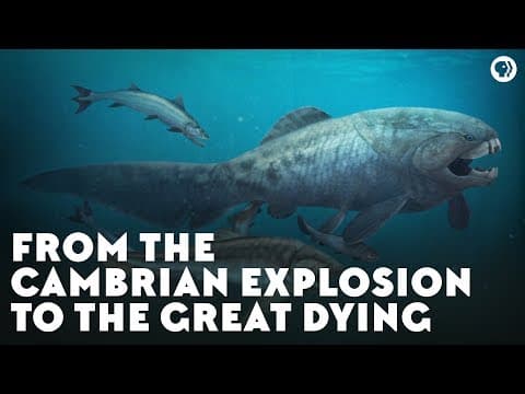 From the Cambrian Explosion to the Great Dying thumbnail
