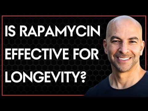 Is rapamycin an effective longevity drug? thumbnail