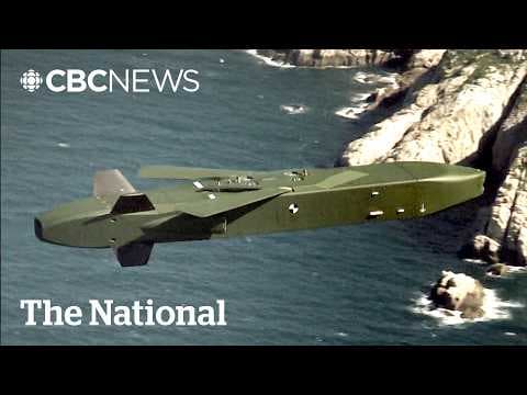 Why Russia is worried about Germany’s Taurus missile thumbnail