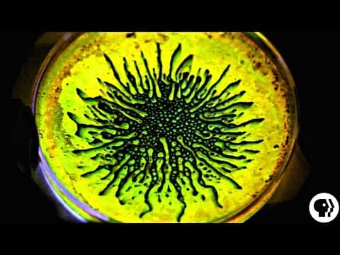 AMAZING! Ferrofluid + Glow Sticks thumbnail