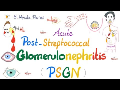 Acute Post-Streptococcal Glomerulonephritis (APSGN) -Nephritic Syndrome -Kidney Pathology-Nephrology thumbnail