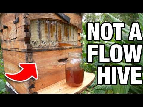 What Flow Don't Want You to Know thumbnail