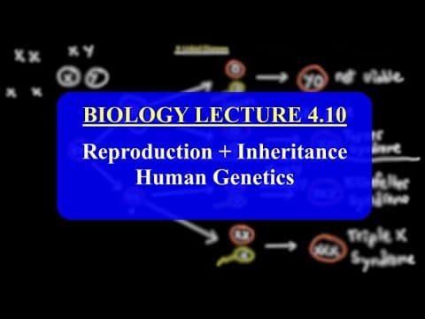 IMAT Biology Lesson 4.10 | Reproduction + Inheritance | Human Genetics thumbnail