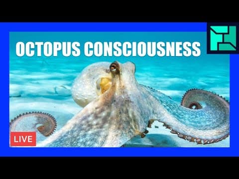 🔴 You shouldn’t eat octopus. Here’s why. | [OFFICE HOURS] Podcast 075 thumbnail