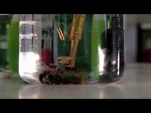 What Happens When Crude Oil Spills into the Ocean? thumbnail